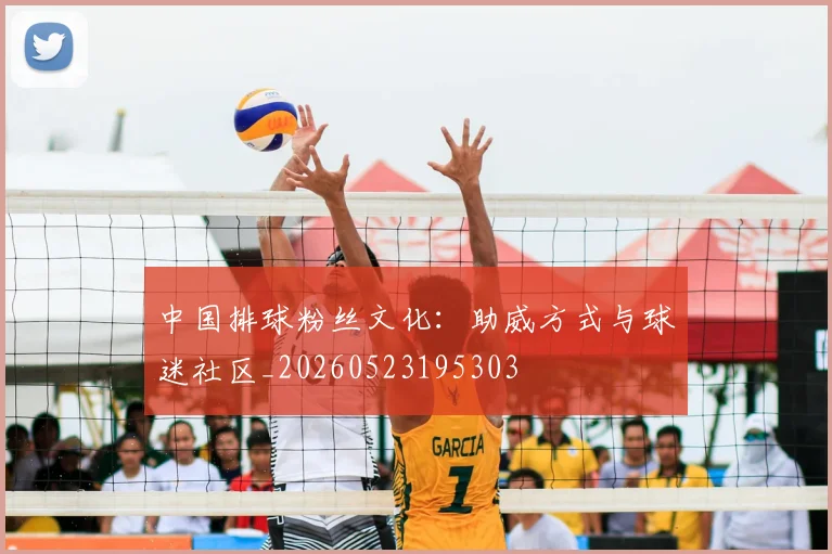 中国排球粉丝文化：助威方式与球迷社区_20260523195303