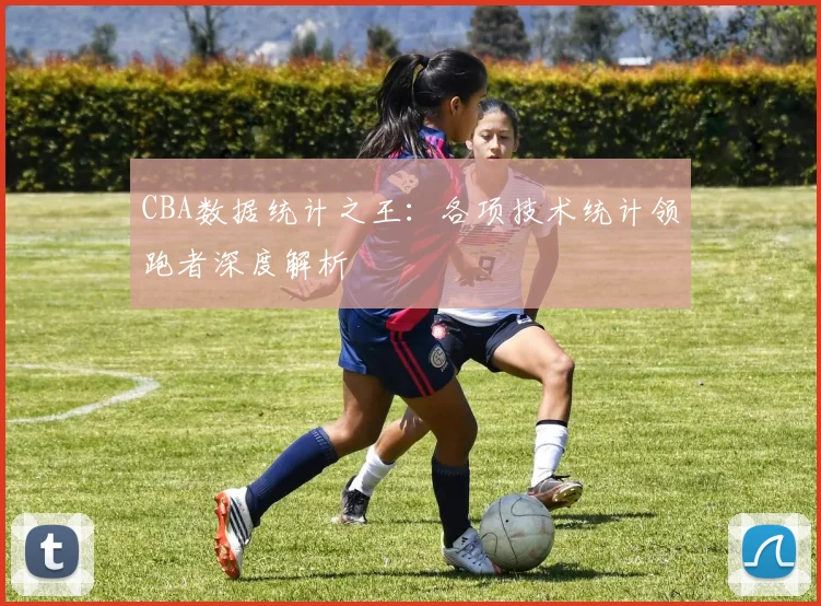 CBA数据统计之王：各项技术统计领跑者深度解析