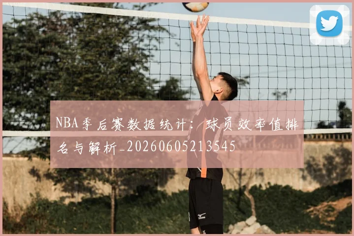 NBA季后赛数据统计：球员效率值排名与解析_20260605213545